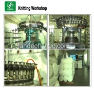 Zhenlihua Circular Knitting Machine Company