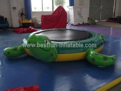 Commerical green turtle water trampoline