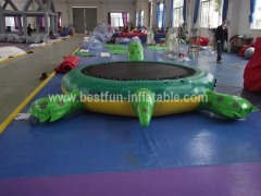 Commerical green turtle water trampoline