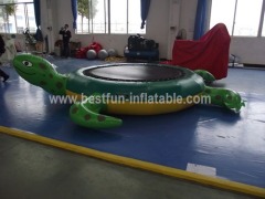 Commerical green turtle water trampoline