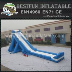 Hippo Inflatable Water Slide