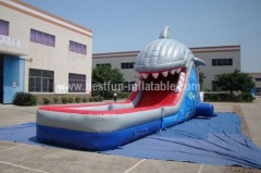 Inflatable Ocean Theme Shark Water Slide
