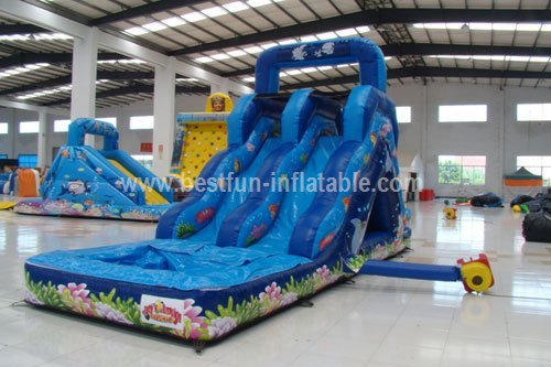 Small Undersea World Hippo Inflatable Water Slide