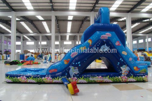 Small Undersea World Hippo Inflatable Water Slide