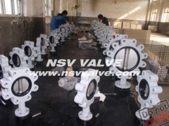 Concentric type butterfly valve