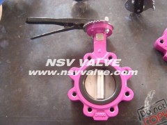 Concentric type butterfly valve