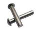 car / motorcycle long 304 Stainless Steel Solid Rivets of Round head