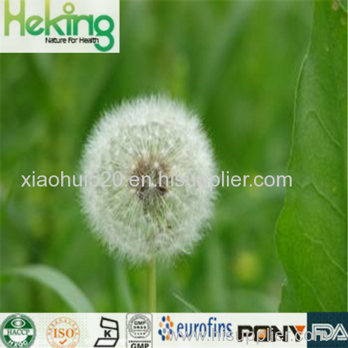 Hight quality 100% natural Dandelion P.E.