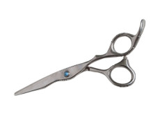 Pet groomy scissors