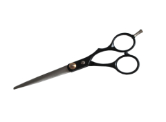 Pet groomy scissors