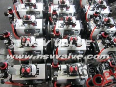 AT Series Pneumatic actuator