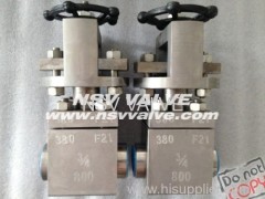 Forged Titanium F21 Gate Valve SW end