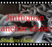 studless anchor chain price reasonable