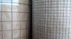 Electro - Galvanized Welded Wire Mesh Boundary Wire Dog Fence 1&quot; x 2&quot;