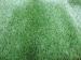 12800Dtex Four Colored Outdoor Synthetic Artificial Landscaping Turf