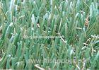 Straight and Curly Yarn Synthetic Commercial Artificial Grass for Home 35mm 11000Dtex