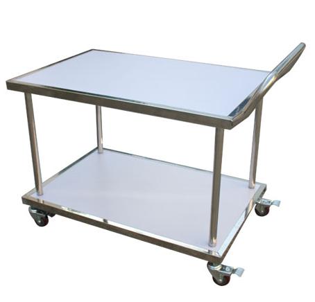 Antistatic stainless steel trolleys