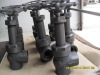 Forged Steel Angle Globe Valve