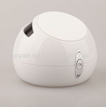 TF/AUX/USB/FM Rechargeable Bluetooth Speaker with Built-in Microphone