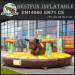 Rodeo Bull Western Inflatable