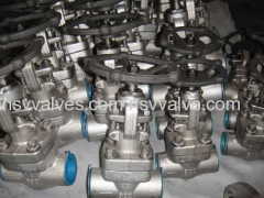 BB forged steel gate valve