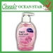 hot sale 250ml best antibacterial soap