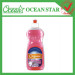 600ml kill germs dishwash