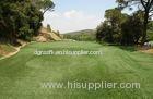 6300Dtex Field Green PE Golf Artificial Grass Lawns