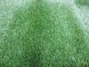 Custom 30mm 12800Dtex Artificial Landscaping Turf Garden Turf Lawns