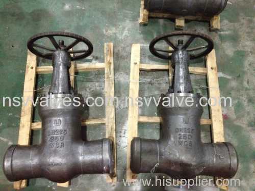 PSB Gate valve with BW end