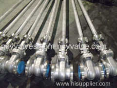 Stainless Steel Underground Gate Valve