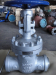 API 600 Fleible Gate Valve BW end