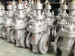 Slab gate valve flange end