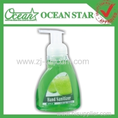 300ml fruit hand wash