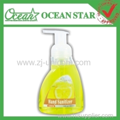 300ml fruit hand wash