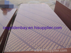 LIAONING DONGDAIHE GOLDEN BAY TRADING CO., LTD (China plywood, film faced plywood supplier)
