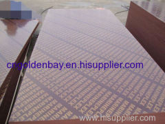 china plywood/film faced plywood/Medium Density Fibreboard/Block Boards/Falcata Bare Core/LVL Plywood supplier