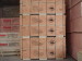 China plywood supplier/exporter/trading company
