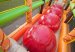 Red Balls Inflatable Obstacle Course