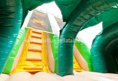 Safari Inflatable Challenge Obstacle Course
