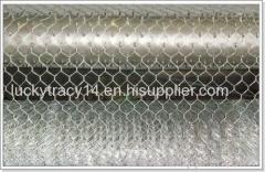 High quality Hexagonal Wire Mesh