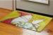 Heat Transfer Printed Rubber Floor Carpet Polyester With Cute Design For Home / Office