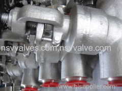 Forged Steel F304 WB globe valve