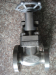 B381 F2 titanium globe valve flange end