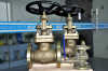 Ni-Al-Bronze(B148 C95800) Globe Valve