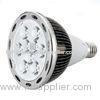 LED Ceiling Spotlights Fixtures