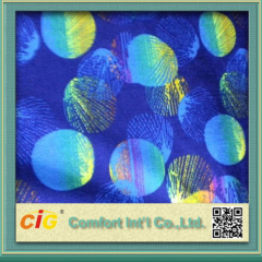 China New Design Colorful Jacquard Car Fabric