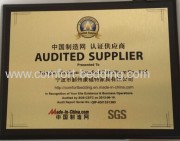 SGS Audited supplier