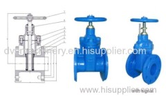 Cast Iron Gate Valve Resilient seated NRS Flanged ends BS5163