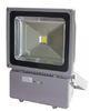 90lm /W 100 Watt Integrated Outdoor Led Flood Light 80 Ra For Theme Park